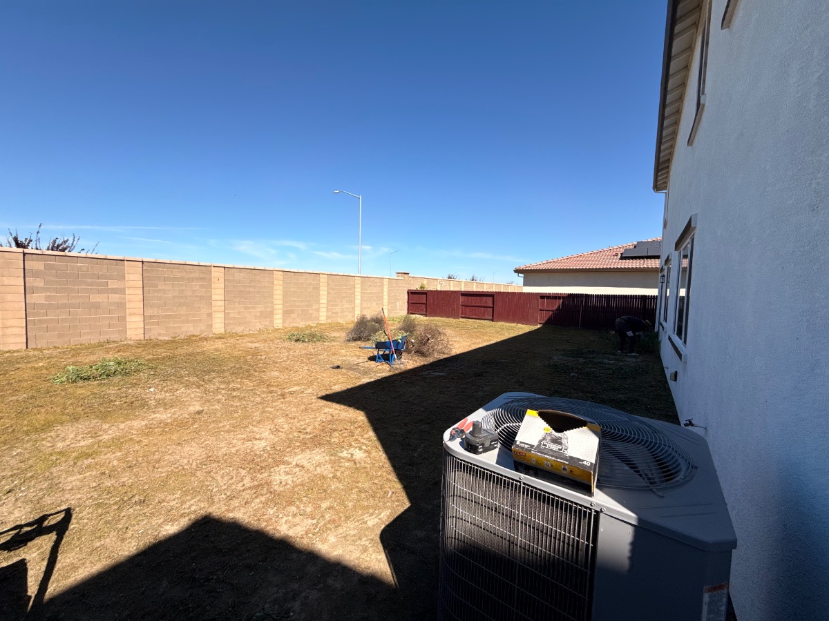 Cleared backyard