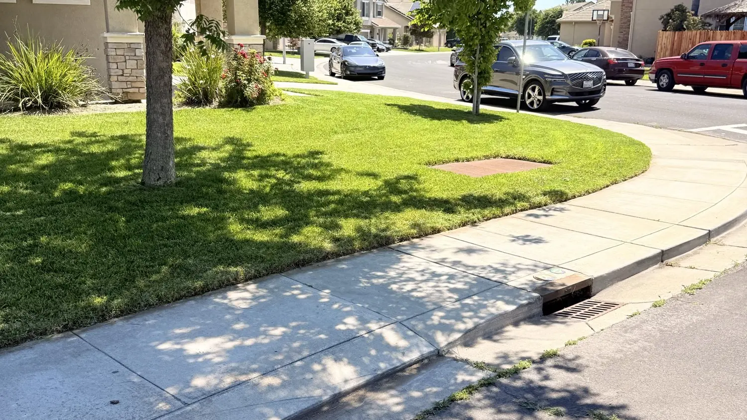 Backyard transformation — Manteca, CA