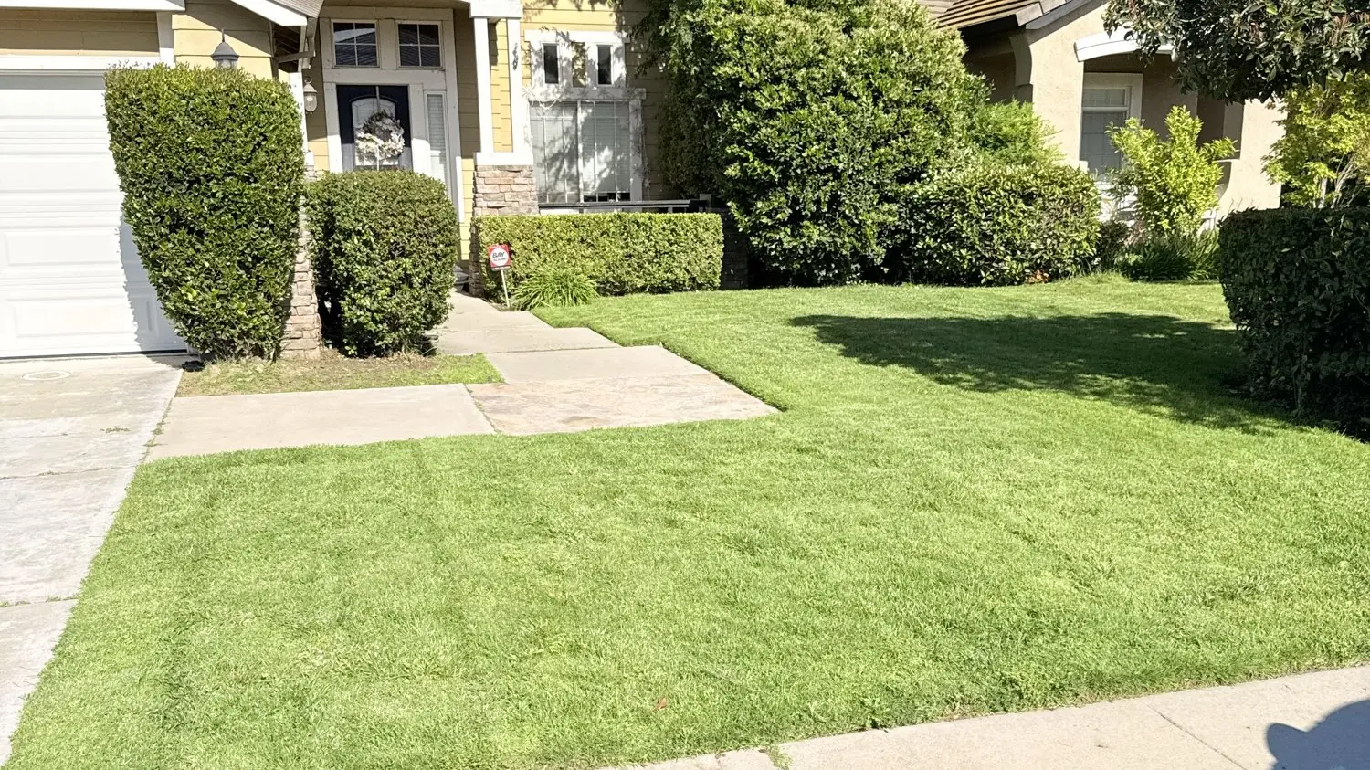 Landscaping and handyman work in Manteca, CA