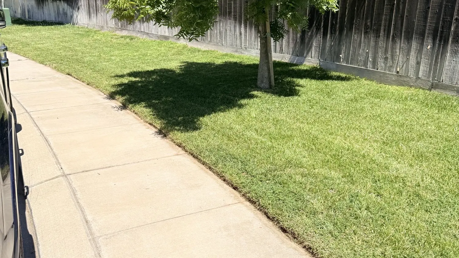 Fence build — Manteca, CA
