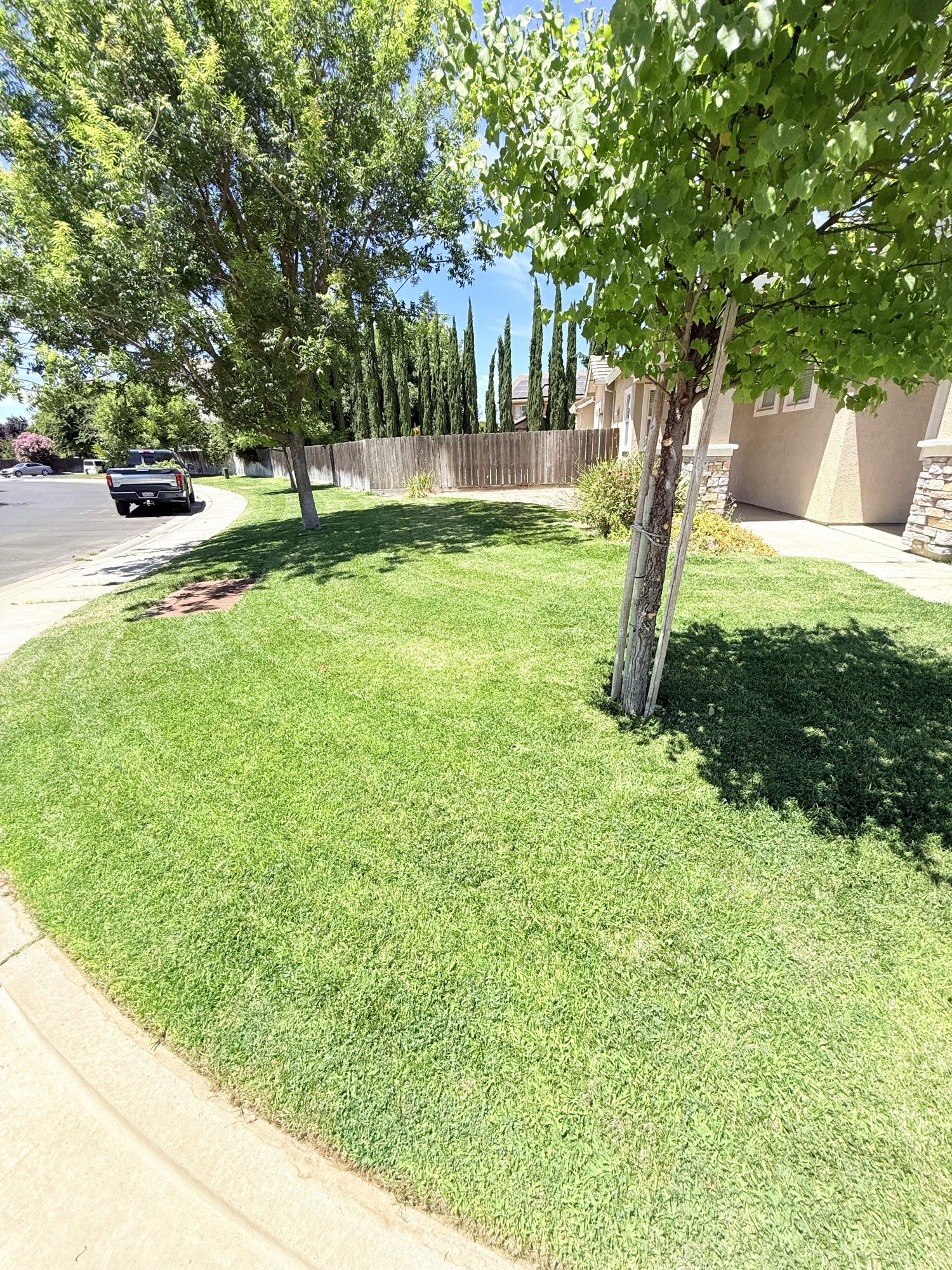 Freshly-mowed front lawn with crisp curved edging along a residential sidewalk in Tracy, California.